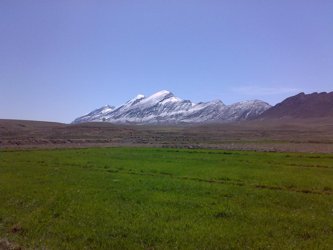 02042009438