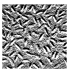 Name:  mat2gray-2.png
Views: 576
Size:  72.7 کیلوبایت