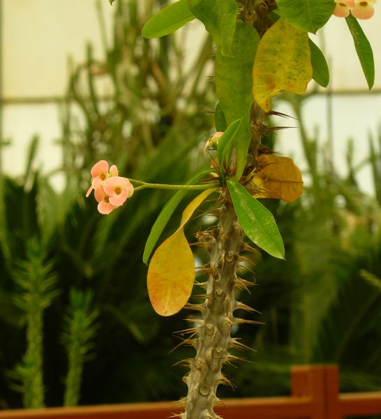 P1030086