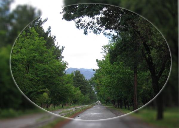 یه جای قشنگ تو شهرمون