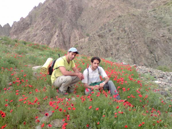منو دوستمو کوه