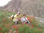 منو دوستمو کوه