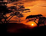 Nature (3)