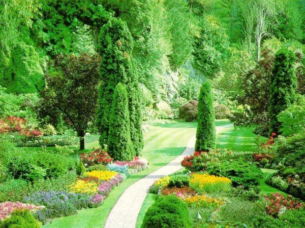Nature (6)