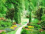 Nature (6)