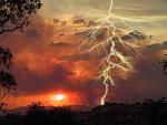 Nature (8)