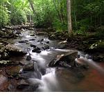 Nature (9)