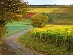 Nature (10)