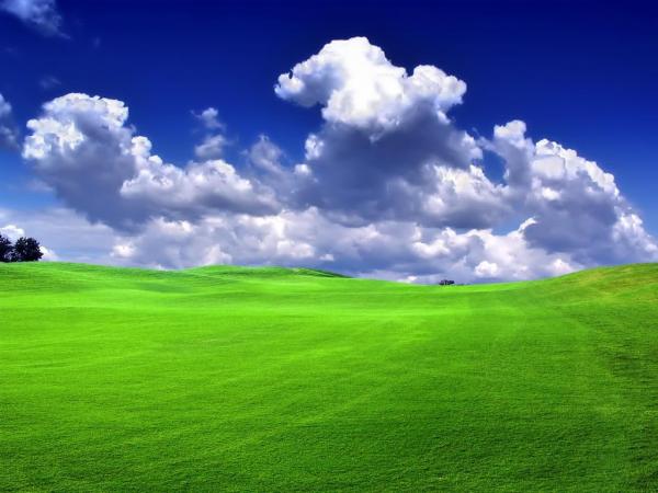Nature (11)