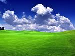 Nature (11)