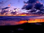 Nature (12)