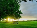 Nature (14)