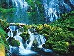Nature (19)