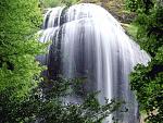 Nature (21)