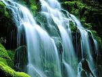 Nature (24)
