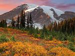 Nature (32)