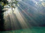Nature (37)
