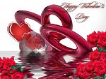 Love (3)