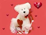 Love (6)