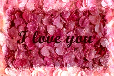 Love (9)