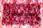 Love (9)
