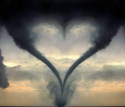 Love (13)