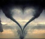 Love (13)