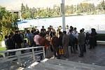 جمعی از دوستان کنار استخر 2