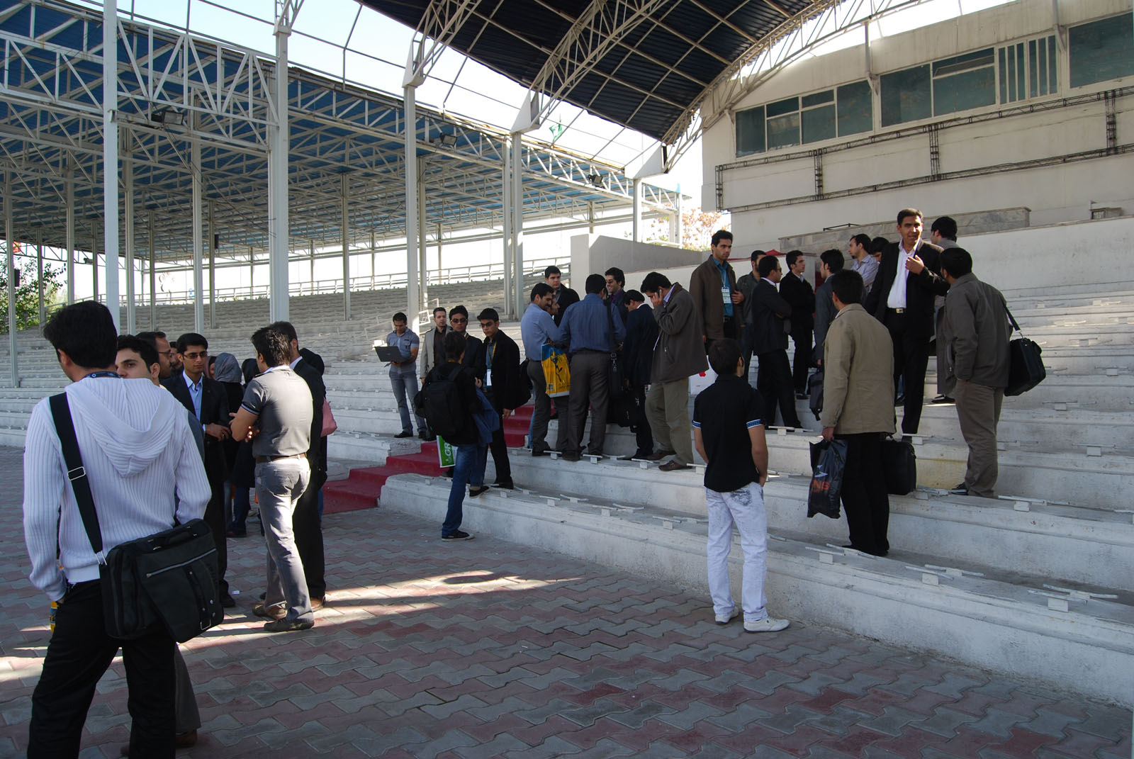 کلونی های متفرق 1 (اکثراً پشت به دوربین)