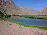 رود آراز