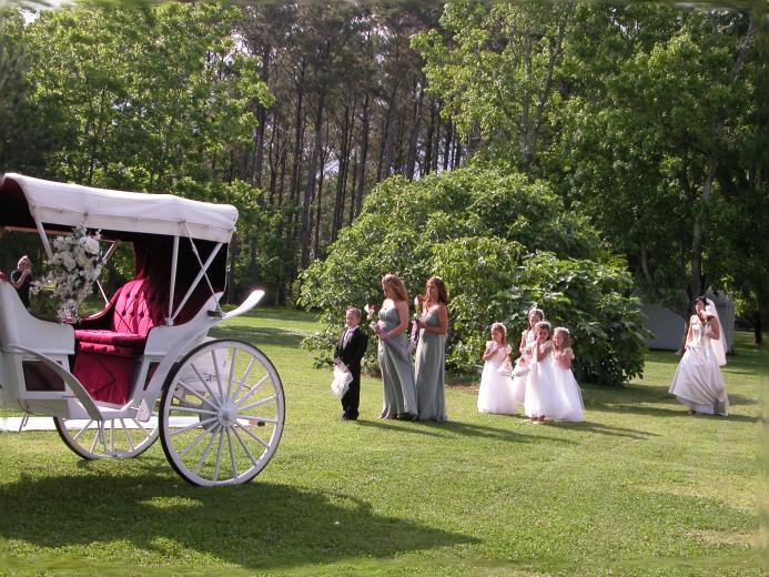 formal wedding soft edges