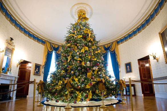 The official White House  002