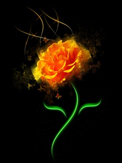 Wallpaper (2)