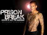 Prison Break prison break 638210 1024 768