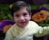 آواتار mhf1364