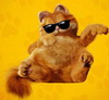 آواتار bsflasher