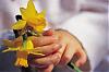 آواتار mehdi_x_rayaneh