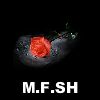 آواتار mfsh_1369