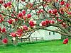 آواتار daneshjo IT