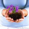 آواتار Narges-s