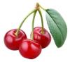 آواتار Cherry