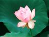 آواتار alireza.basabr