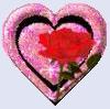 آواتار drahmadtaraffoo
