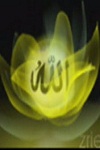 آواتار amiramt