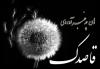 آواتار gha310k