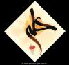 آواتار sinasalmani