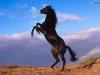 آواتار Seiyed