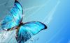 آواتار mahtab kf