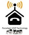 آواتار paradigm