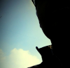 آواتار mirjafarabedi
